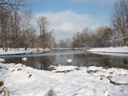 Zima w ogrodach wilanowskich, fot. J. Dobrzańska4.JPG