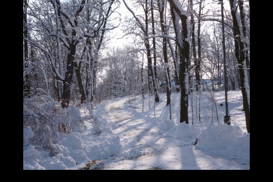 Zima w ogrodach wilanowskich, fot. J. Dobrzańska5.JPG
