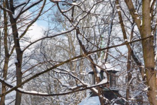 Zima w ogrodach wilanowskich, fot. J. Dobrzańska6.JPG