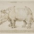 Jednorożce i nosorożce, czyli identyfikacja zwierząt pozaeuropejskich w XVI i XVII w.