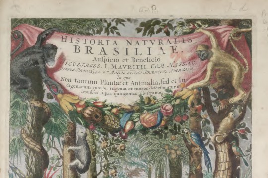 „Theatrum rerum naturalium Brasiliae” i Christian Mentzel: o jednej z technik tworzenia albumów sztucznych z odręcznymi ilustracjami obiektów przyrodniczych