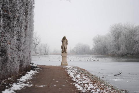 Zatoka Północna Jezioro Wilanowskie, fot. Joanna Pniewska-Drzymała.jpg