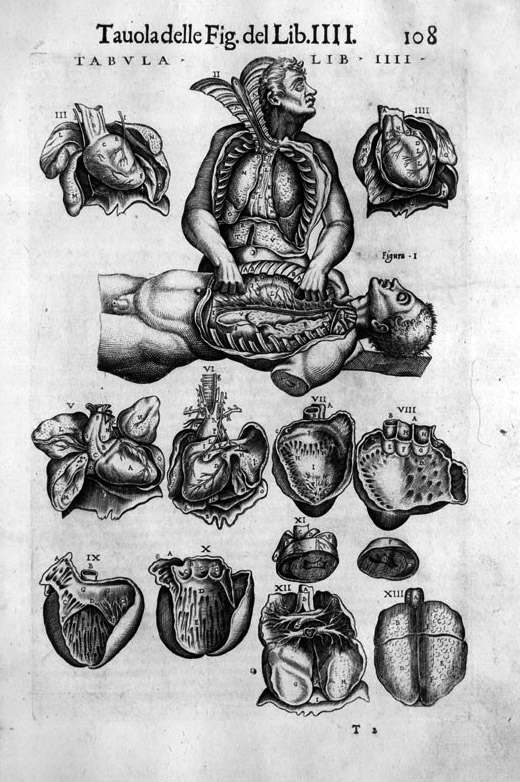 Ilustracja lub rycina anatomiczna, która ukazuje serce człowieka. Jest to ilustracja do książki naukowej. Każda część tego organu została pokazana z różnych stron, również w przekroju. W górnej części karty lub strony, leży martwy człowiek, który ma otwartą klatkę piersiową. Przed nim siedzi drugi człowiek, który wkłada mu ręce do jego wnętrzności i również ma otwartą klatkę piersiową.