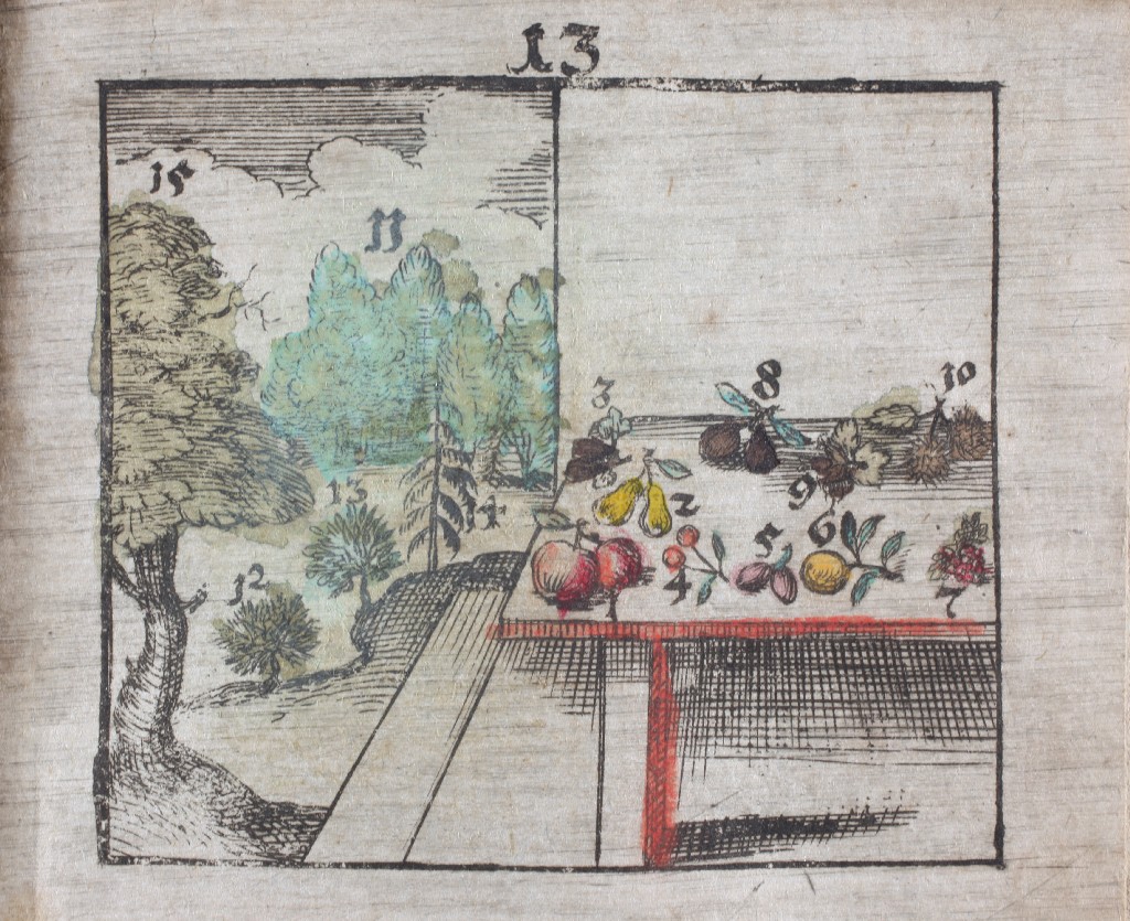 Grafika przedstawia stół na którym leżą owoce opisane cyframi. Są to jabłka, gruszki, wiśnie, śliwki, cytryna, orzechy. Stół stoi na podniesieniu. Po lewej stronie drzewa opisane cyframi i chmury. Jest to ilustracja z elementarza Jana Amosa Komenskiego. 