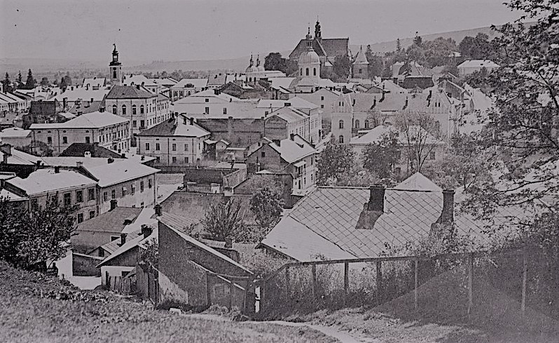 Karta pocztowa z lat 20. XX wieku. Jest to panorama miasta Brzeżany. 


