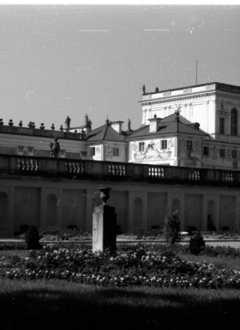 Ujęcie na pałac z tarasu dolnego. Na pierwszym planie ogród, na drugim – pałac.