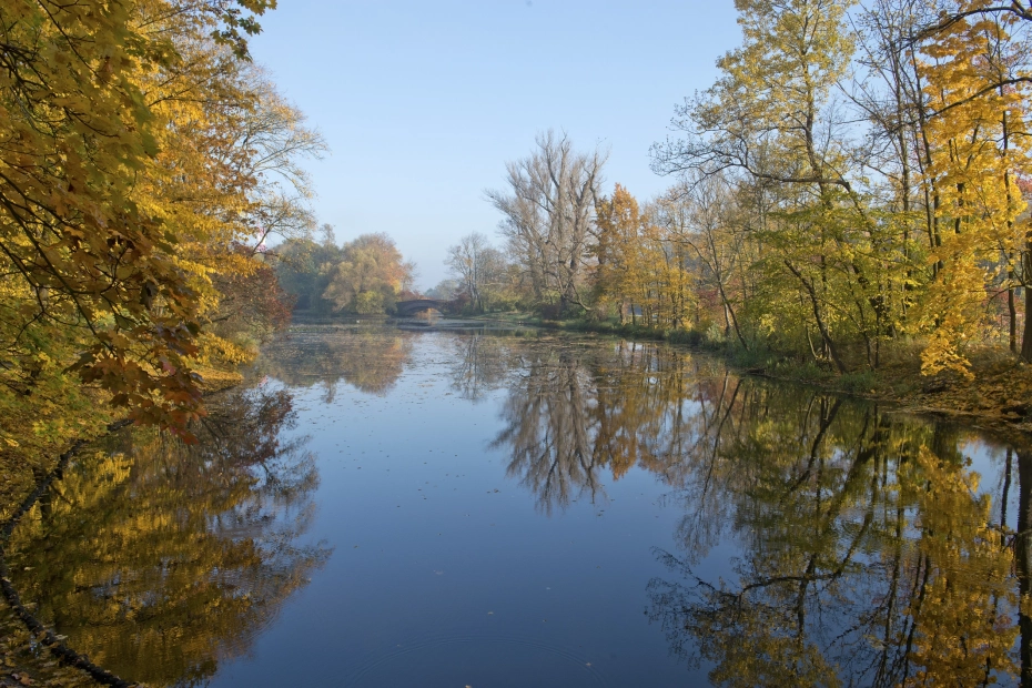 Pejzaż we mgle. Na pierwszym planie zalew, drzewa i krzewy.