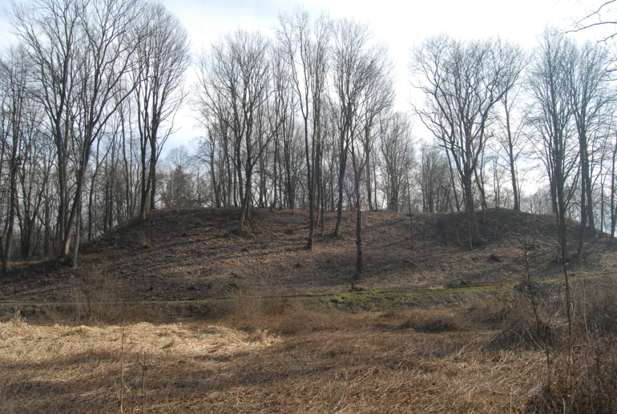 Kolorowe zdjęcie współczesne. Ukazuje park i drzewa. Pośrodku wzniesienie.