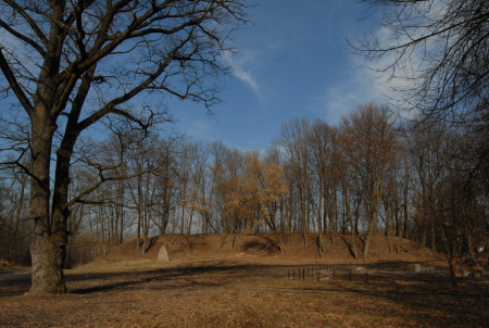 Kolorowe zdjęcie współczesne. Ukazuje park i drzewa. Pośrodku wzniesienie. Są to wały ziemne dawnego pałacu w Oleszycach (widok od południa). 