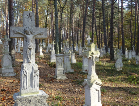 Kolorowe zdjęcie współczesne. Przedstawia cmentarz w lesie. Są w nim rozsiane kamienne nagrobki z krzyżami.