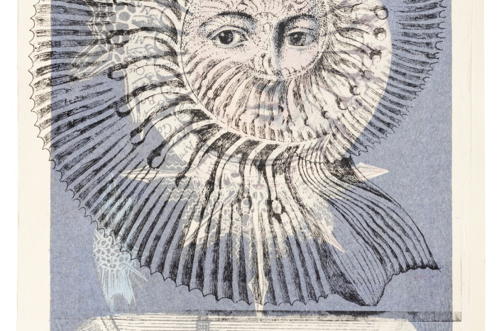 Grafika z przedstawieniem skorupy prehistorycznego zwierzęcia i twarzy ludzkiej.