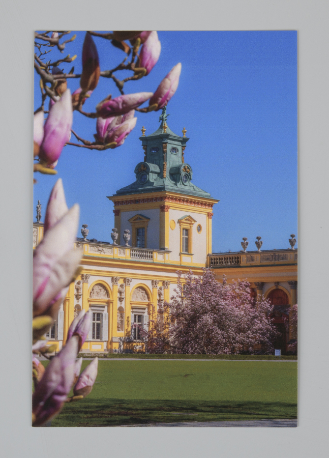 Zdjęcie z pocztówką z widokiem Pałacu z magnolią.